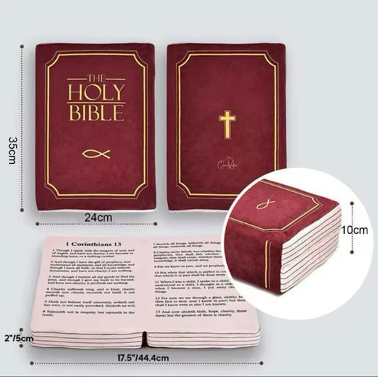 The Bible Pillow